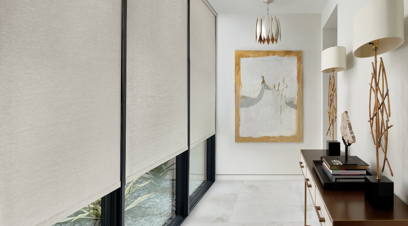 Roller shades window treatments
